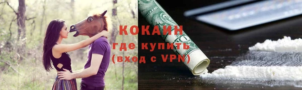 COCAINE Богородицк