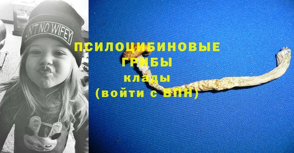 COCAINE Богородицк